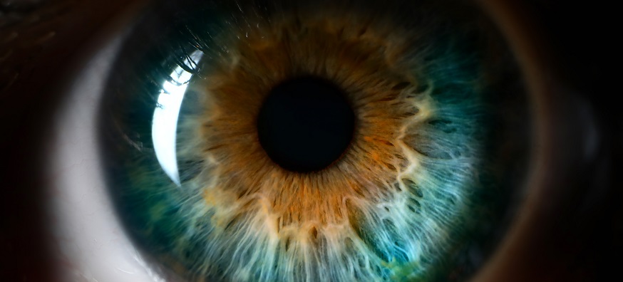 What is colour vision deficiency (colour blindness)?