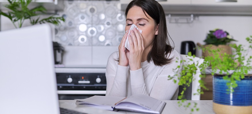 What’s the difference between COVID-19 and hay fever?
