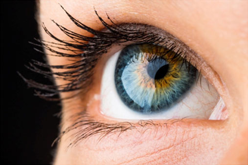 What can your eyes tell you about your health?