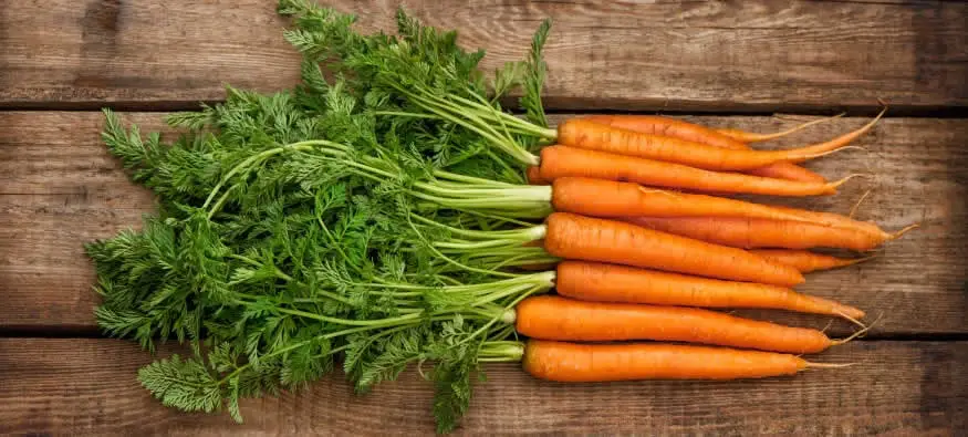Do carrots help you see in the dark?