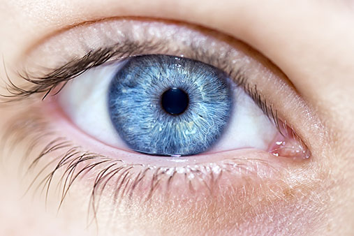 20 Weird Facts About Eyes