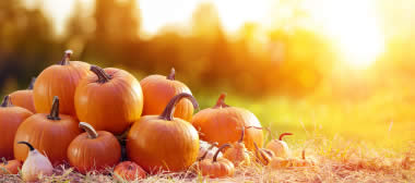 What can pumpkins do for your eyes?