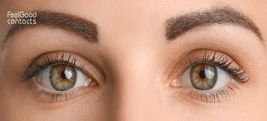 Hazel Eye Colour: Rarity, Interesting Facts and Care Tips