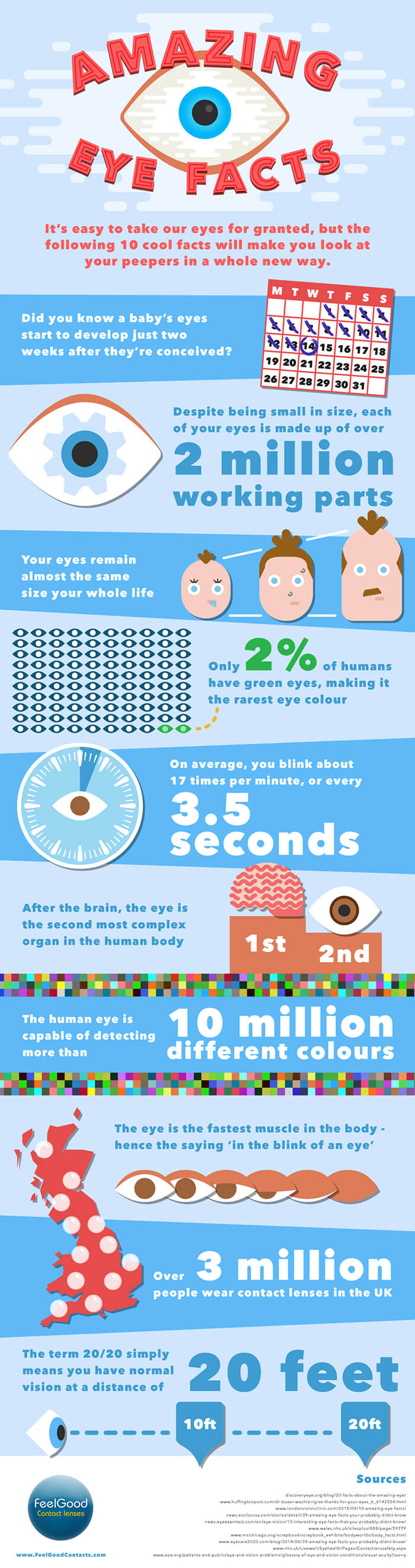 10 amazing eye facts infographic
