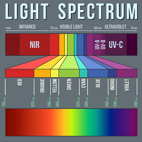 Blue light | FGC Blog