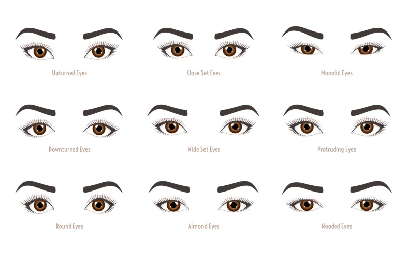 different eye shapes