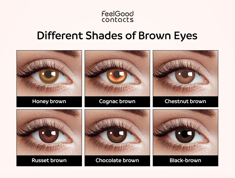 Different shades of brown eyes
