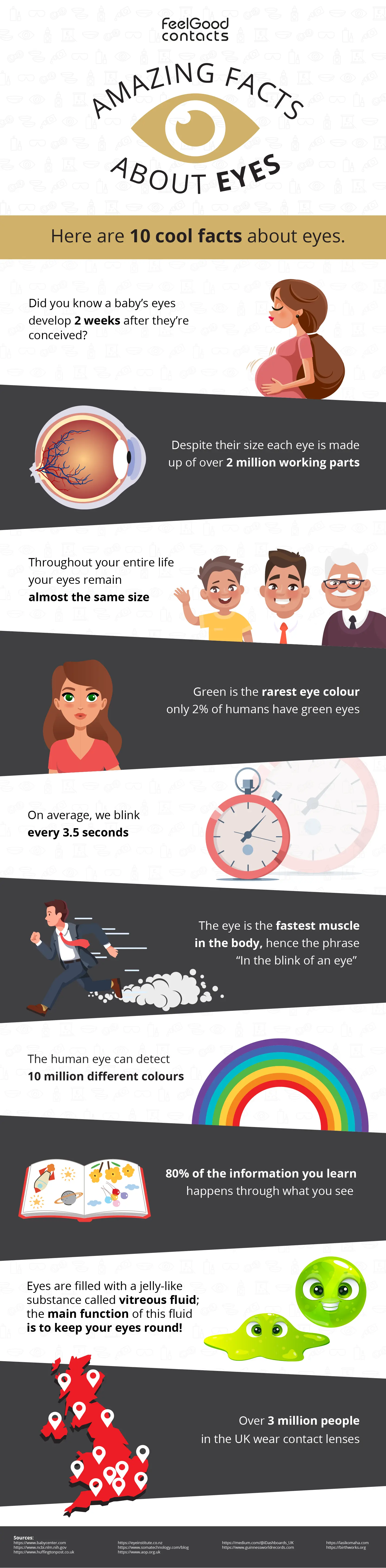 eye facts infographic updated