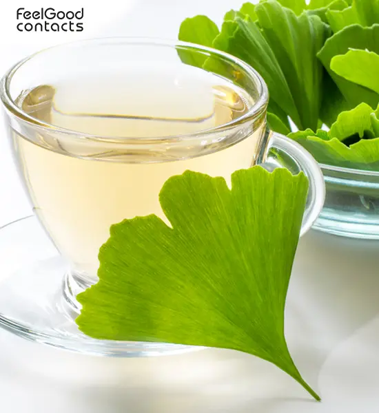 Ginkgo biloba tea