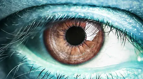 weird facts about eyes