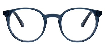  BIO 1013 105 Blue 47