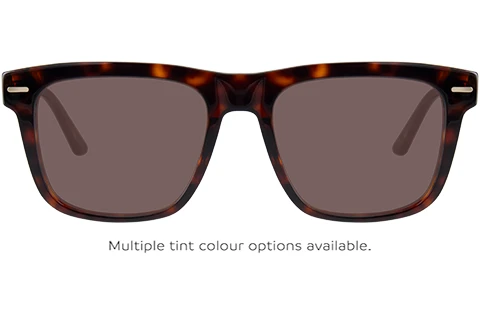 Calvin Klein CK22538 240 55 Tortoise