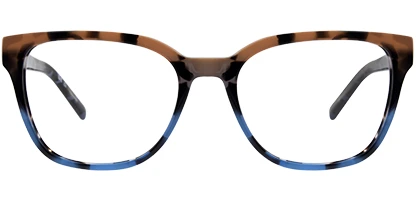 DKNY DK5054 248 54 Mocha Blue/Tortoise