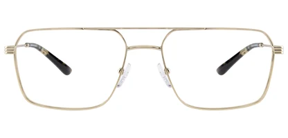 Emporio Armani EA1166 3002 57 Matte Pale Gold