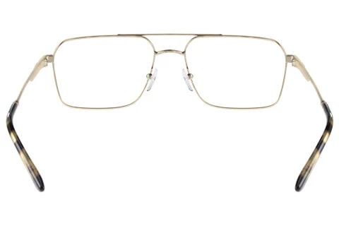 Emporio Armani EA1166 3002 57 Matte Pale Gold