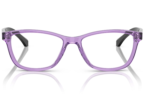 Emporio Armani EA3099 6197 Transparent Violet 54