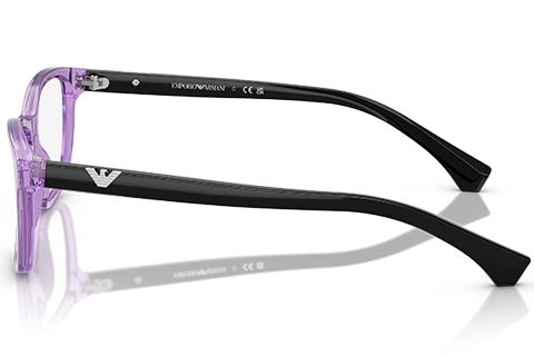 Emporio Armani EA3099 6197 Transparent Violet 54
