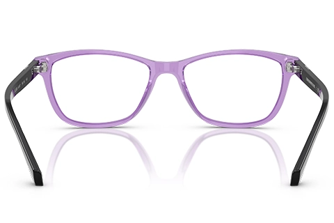 Emporio Armani EA3099 6197 Transparent Violet 54