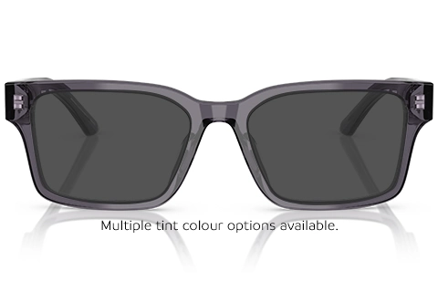 Emporio Armani EA3245U 6106 Transparent Grey 54