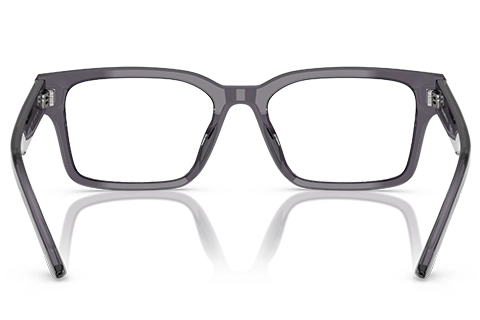 Emporio Armani EA3245U 6106 Transparent Grey 54