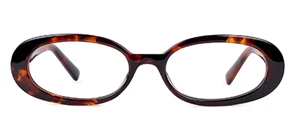 Amsterdam 12 Tortoise 51