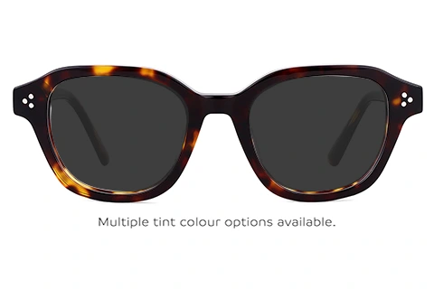 Feel Good Collection Atlas Tortoise 47