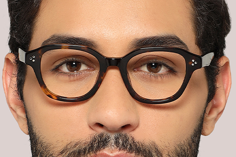 Feel Good Collection Atlas Tortoise 47
