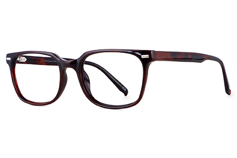 Feel Good Collection Beck 10 Tortoise 53