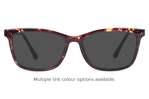 Bristol 45 Tortoise 53