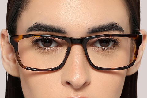 Feel Good Collection Bronte Black Tortoise 54