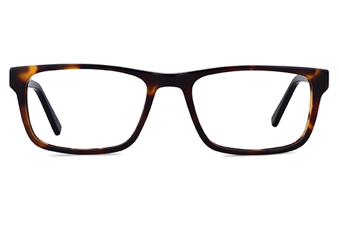 Feel Good Collection Bronte Black Tortoise 54