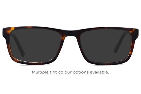Feel Good Collection Bronte Black Tortoise 54