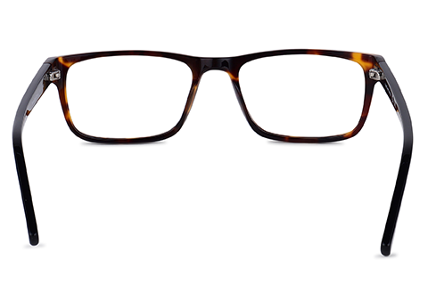 Feel Good Collection Bronte Black Tortoise 54
