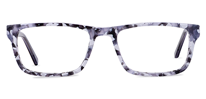 Grey Tortoise