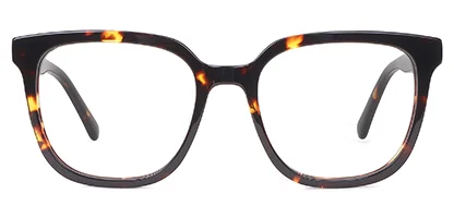 Cirque 45 Tortoise 52