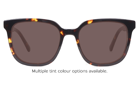 Cirque 45 Tortoise 52