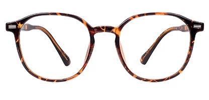 Dubai 45 Tortoise 49