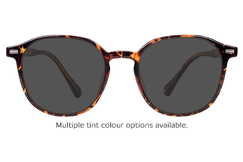 Dubai 45 Tortoise 49