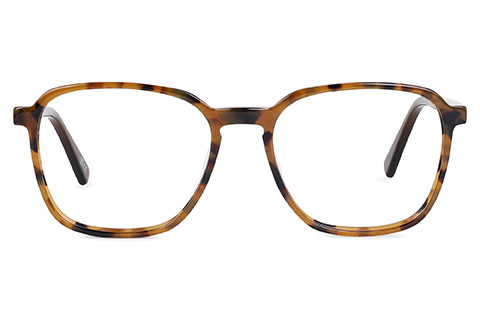 Feel Good Collection Echo 51 Tortoise