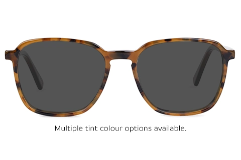 Feel Good Collection Echo 51 Tortoise