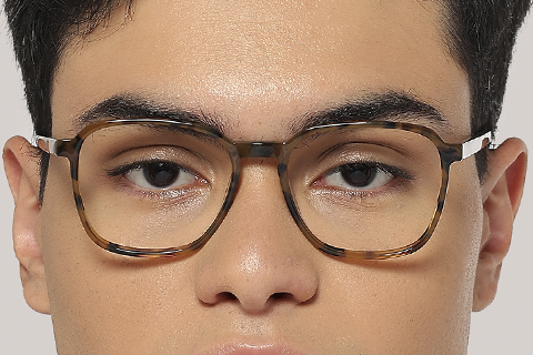Feel Good Collection Echo 51 Tortoise