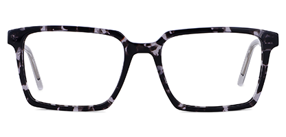 Grey Tortoise