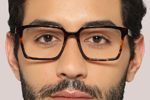 Feel Good Collection Hale Tortoise 54