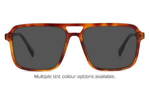 Kanya 11 Tortoise 55