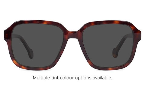 Laene 45 Tortoise 56