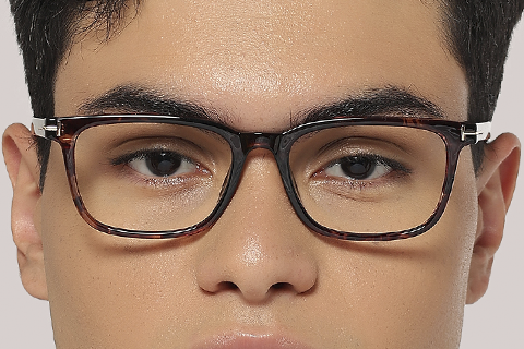Feel Good Collection Nelson 53 Tortoise