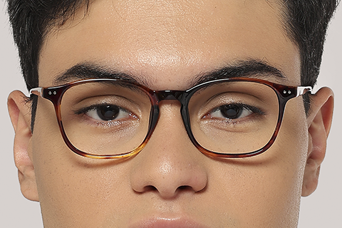 Feel Good Collection Norris 49 Tortoise