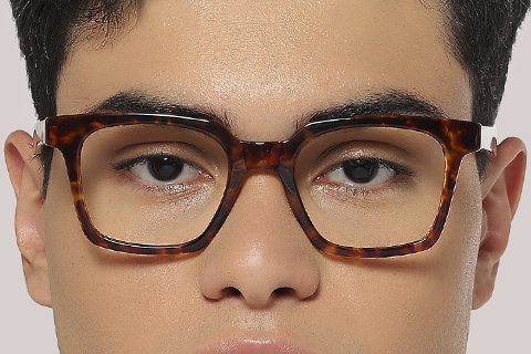 Feel Good Collection Scottie 50 Tortoise