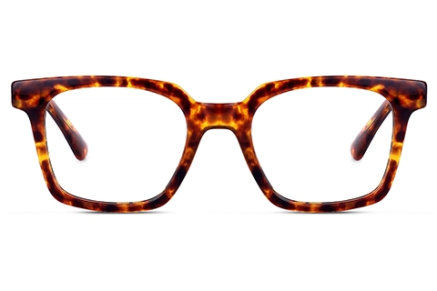 Feel Good Collection Scottie 50 Tortoise