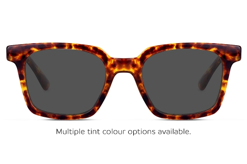 Feel Good Collection Scottie 50 Tortoise
